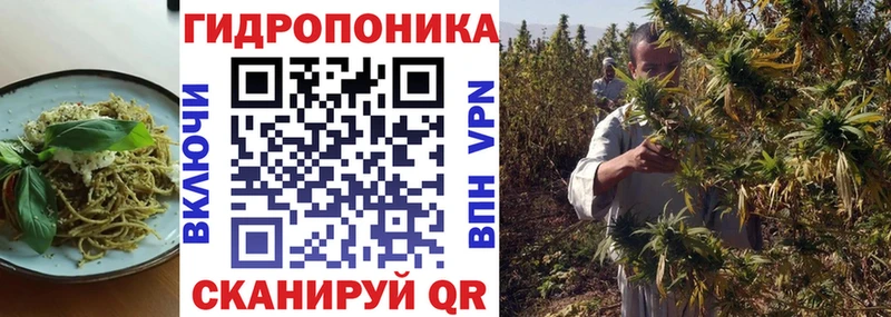 купить наркоту  маркетплейс официальный сайт  Печенье с ТГК марихуана  Кинешма 