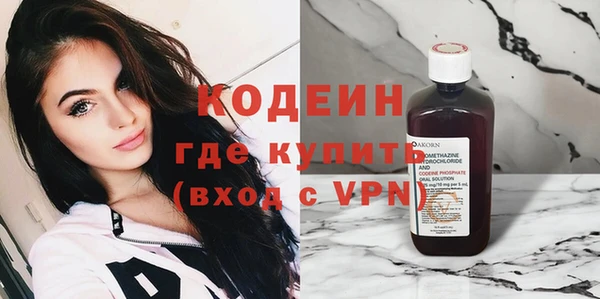 гидра Нестеровская