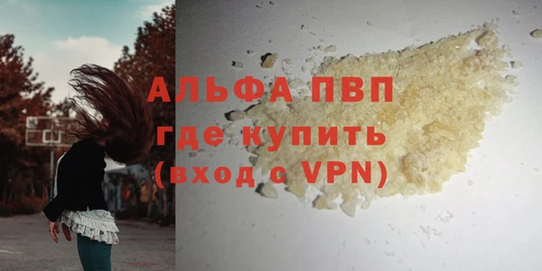 стаф Бронницы