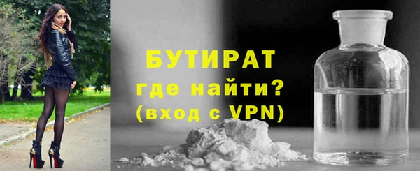 гидра Нестеровская
