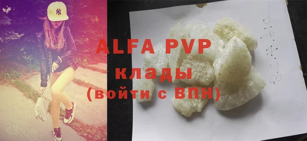прущие грибы Бородино