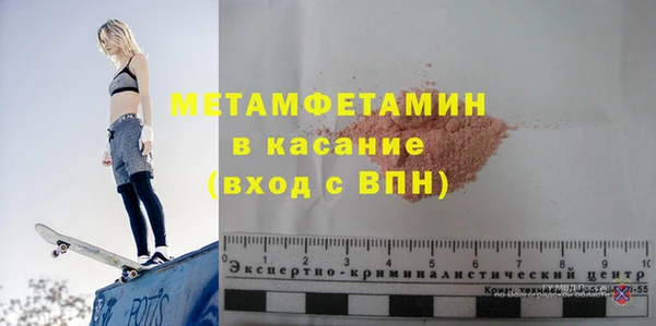 прущие грибы Бородино