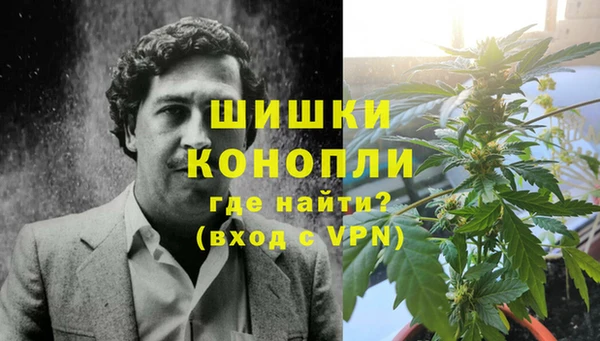 стаф Бронницы