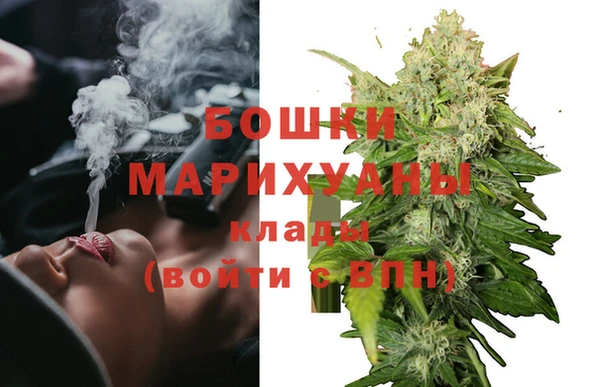 стаф Бронницы
