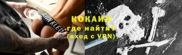 прущие грибы Бородино